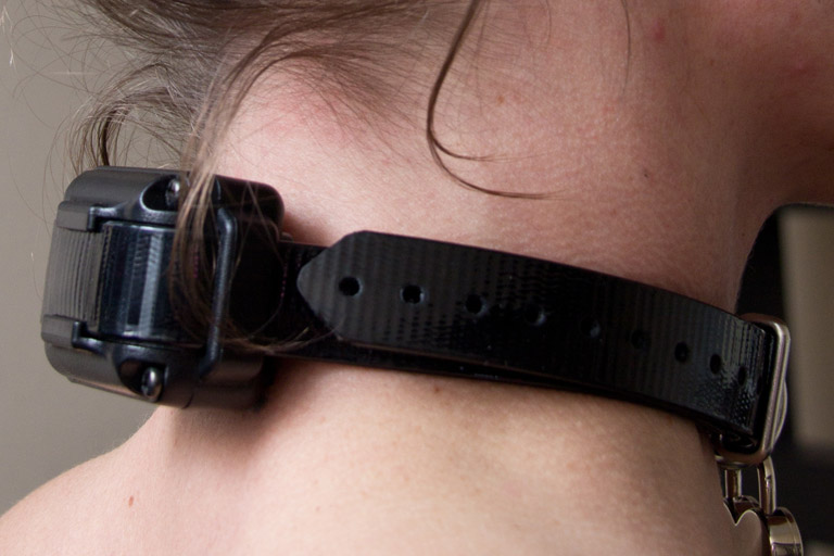 iq-plus-collar-in1.jpg