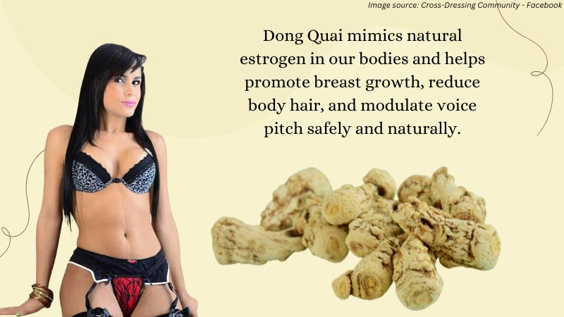 Feminizing Herbs That Increase Estrogen