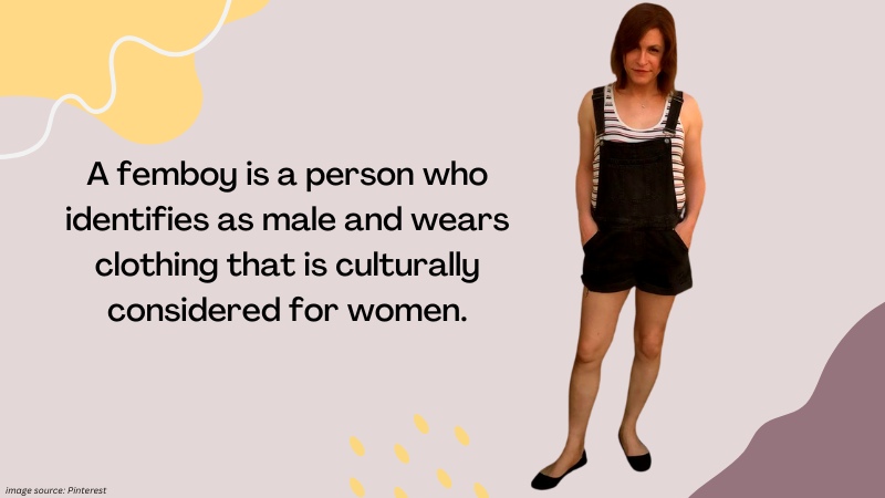 Breaking down the Myths and Stereotypes About Femboys