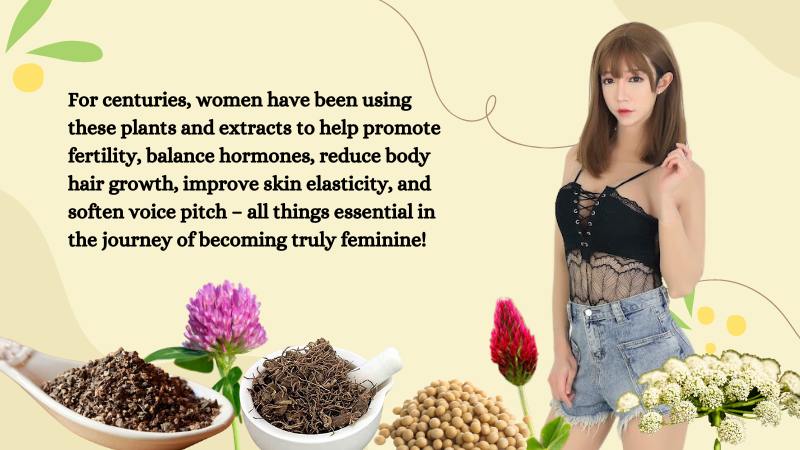 Feminizing Herbs That Increase Estrogen