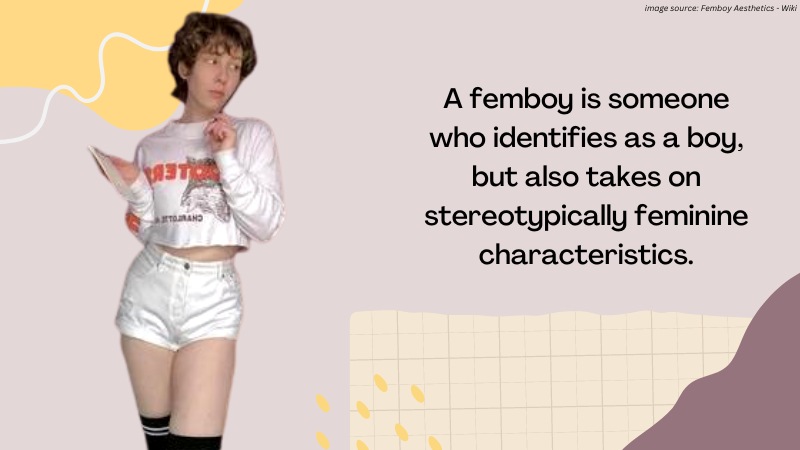 Breaking down the Myths and Stereotypes About Femboys