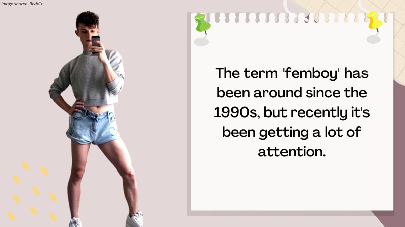 Breaking down the Myths and Stereotypes About Femboys