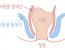 안 아프게 애널 섹스하는 3가지 팁[퍼옴]